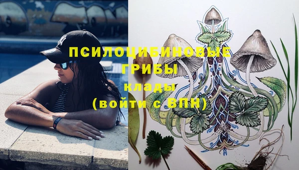 винт Балахна