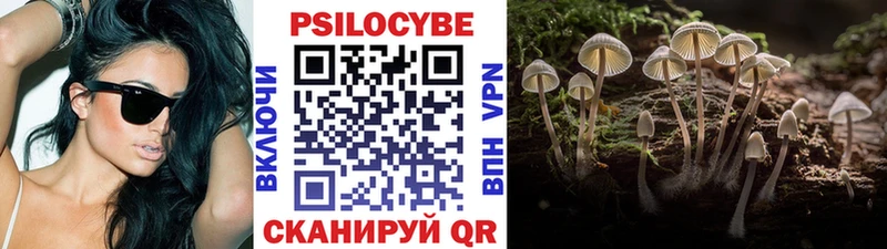 купить наркотик  Лесосибирск  Псилоцибиновые грибы Magic Shrooms 